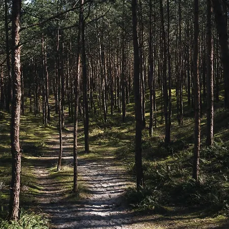 Blueapart Mestwina 37