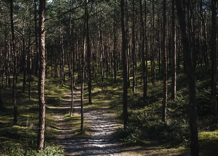 Blueapart Mestwina 37